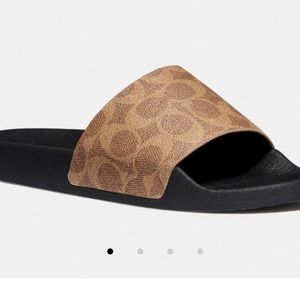 Meet your Posher, Marlon